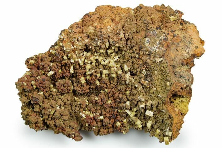 Tabular Orange Wulfenite Crystal On Matrix - Ojuela Mine, Mexico #356694